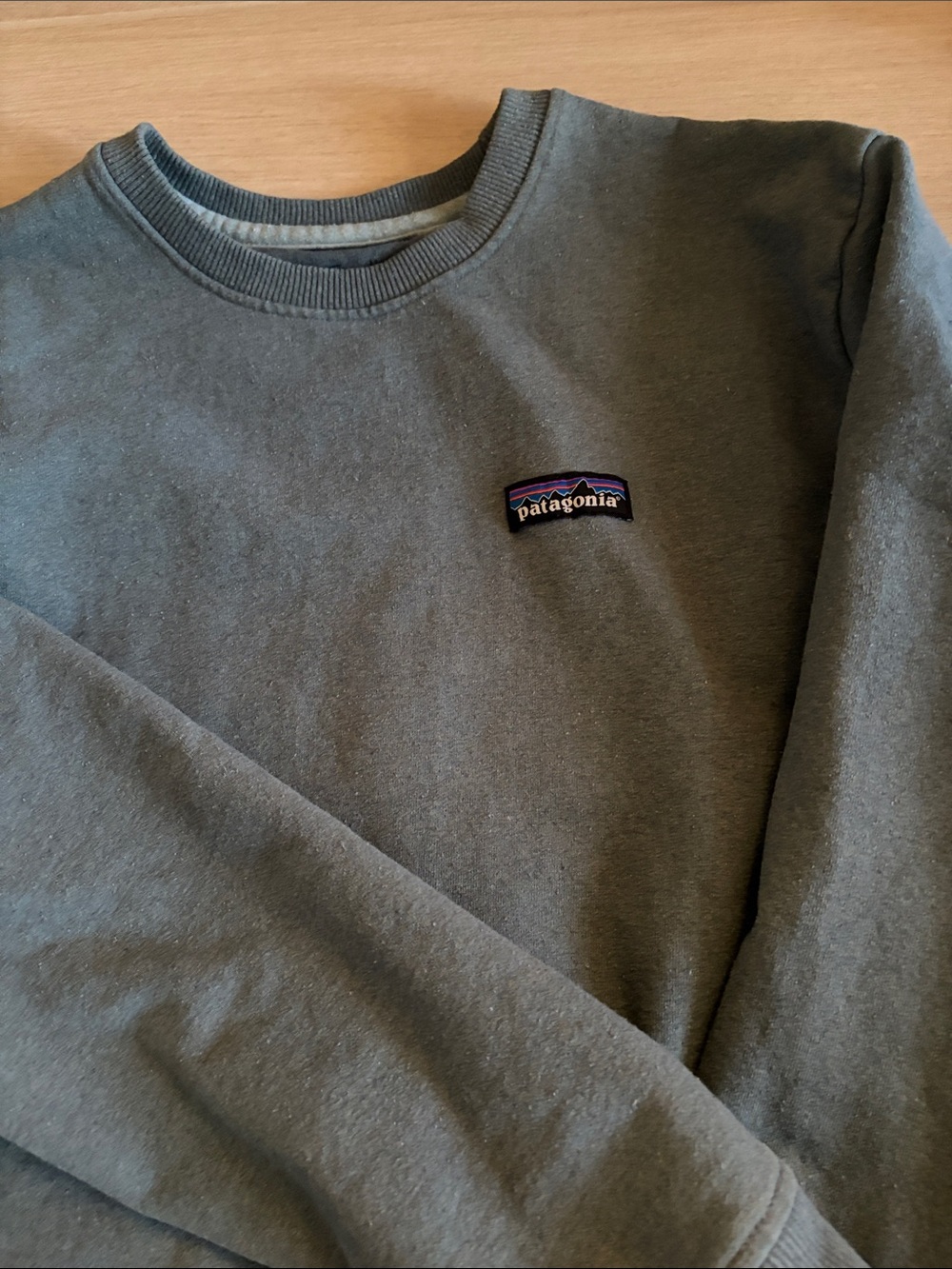 Patagonia Crewneck Sweatshirt in gray blue
